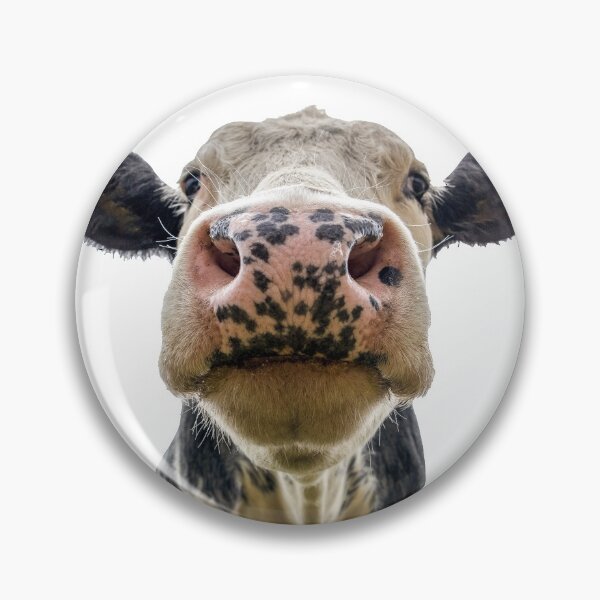 Item preview, Cow Cow Cow designed and sold by LidaRayArt.