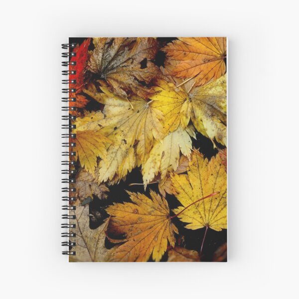 Golden - Autumn in Mt Wilson NSW Australia Spiral Notebook