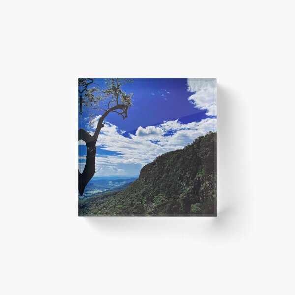 Item preview, Springbrook NP 2 Queensland AU designed and sold by Mark Malinowski.