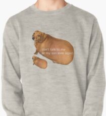 Sprich nie wieder mit mir oder meinem Sohn - Geek Pullover