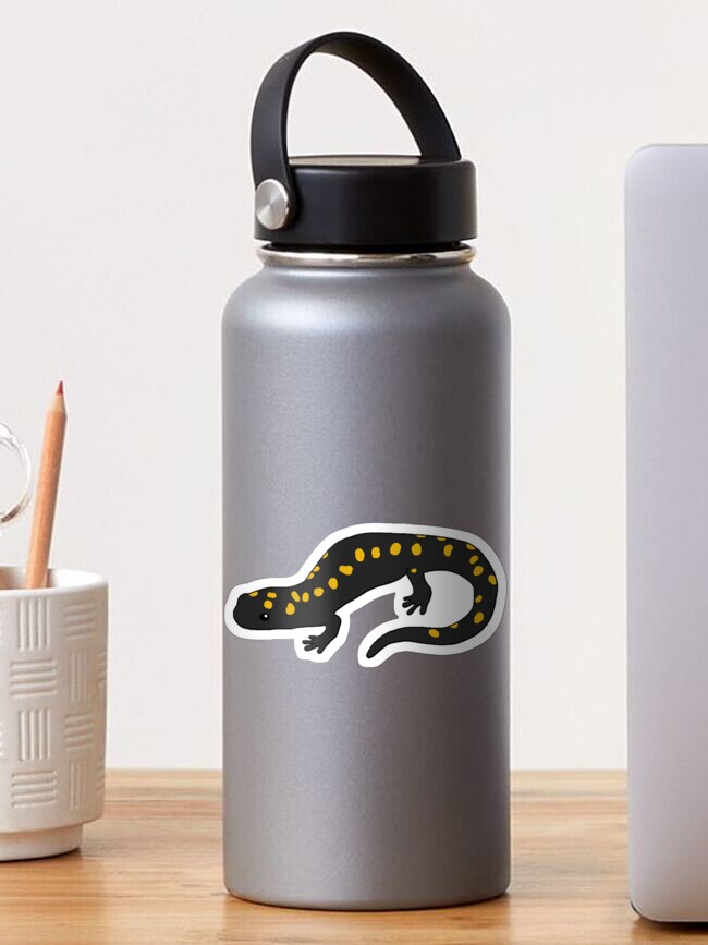 Thumbnail 1 of 3, Sticker, Yellow Spotted Salamander designed and sold by taylorrowan.