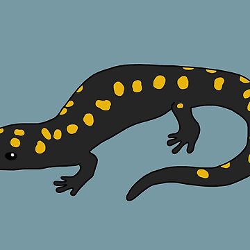Artwork thumbnail, Yellow Spotted Salamander by taylorrowan