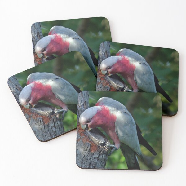 Item preview, Pink-Breasted Galah designed and sold by Marylou Badeaux.