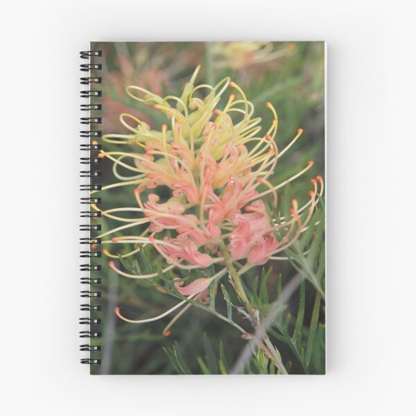 Item preview, Merimbula  designed and sold by Tom McDonnell.