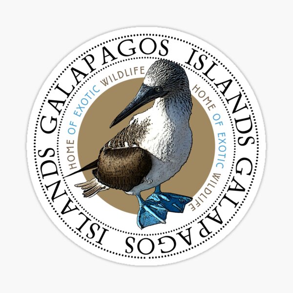 Islas Galápagos Blue footed Booby Pegatina