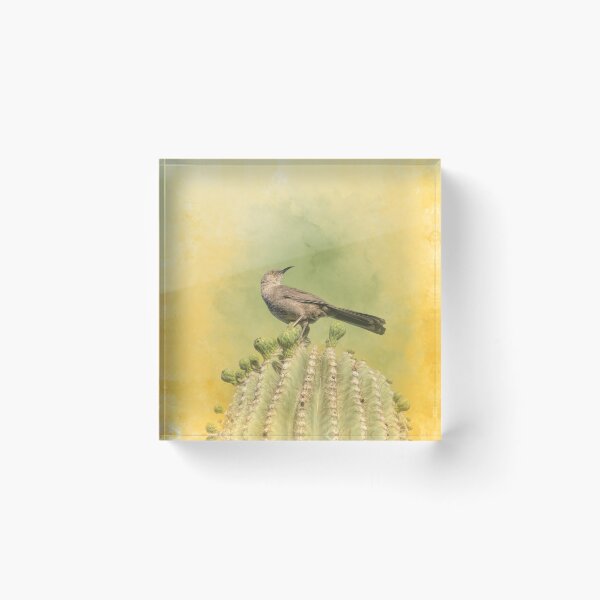 Item preview, King of My Saguaro designed and sold by Elisabeth Lucas.