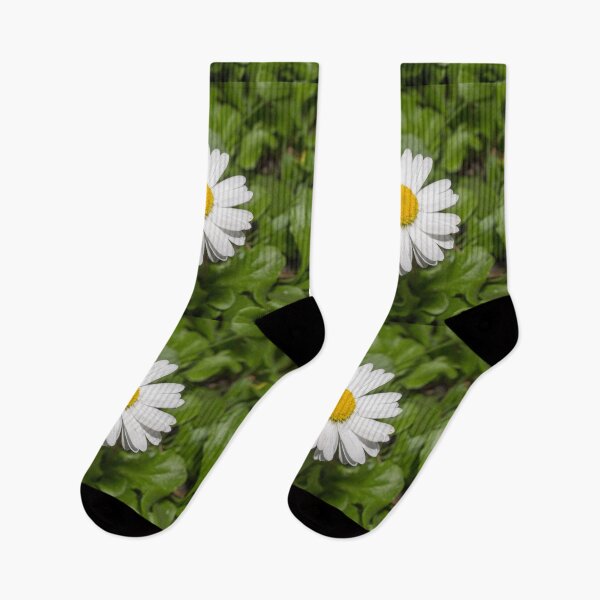 Item preview, chamomile flower on a background of green foliage designed and sold by nataliavavilina.