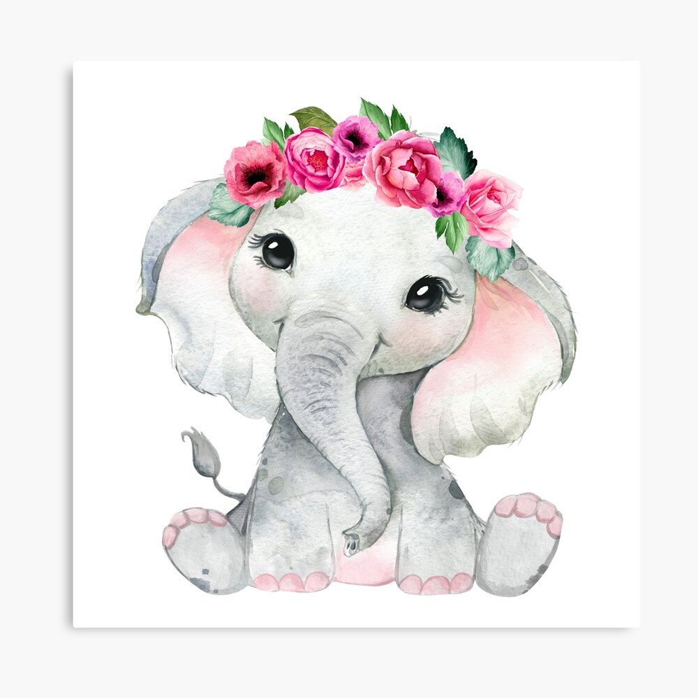 Little Elephant on the Trunk. Babygirl. Watercolor Little -  Israel