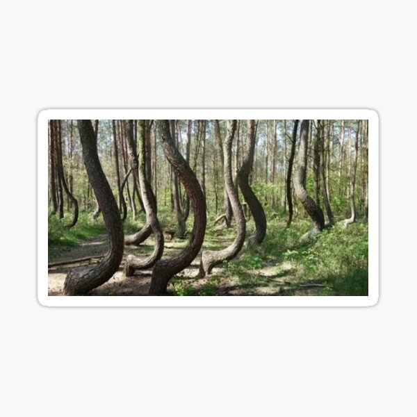 Item preview, Forest designed and sold by Eshan91.