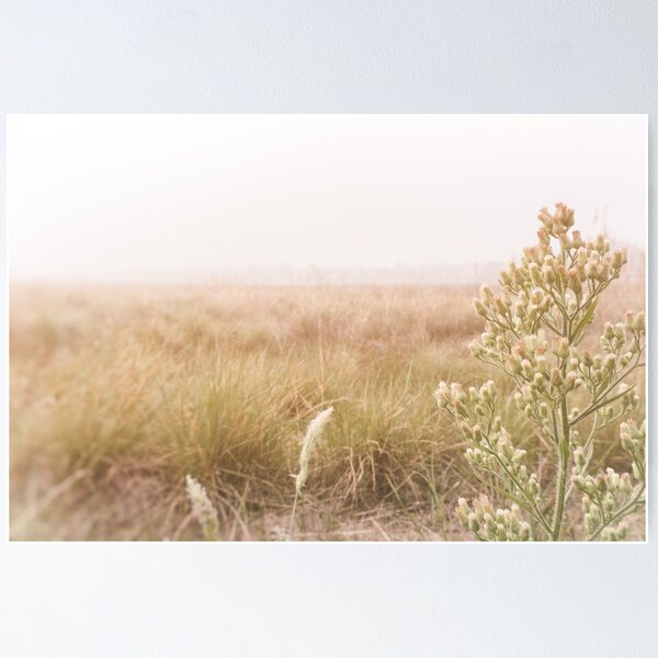 Item preview, Soft Focus designed and sold by Shari Sherriff.