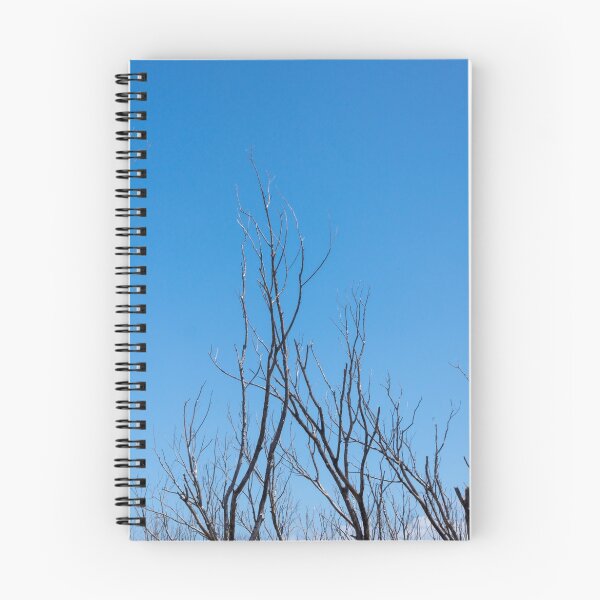 Item preview, Bare branches designed and sold by Anne Scantlebury.