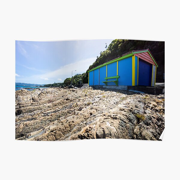 Lone boatshed. Poster