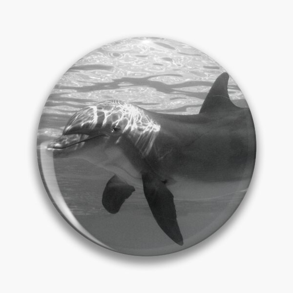 Item preview, The Call of the Ocean designed and sold by Gatorbox.