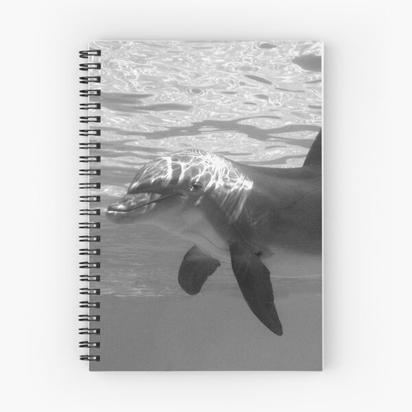 Item preview, The Call of the Ocean designed and sold by Gatorbox.