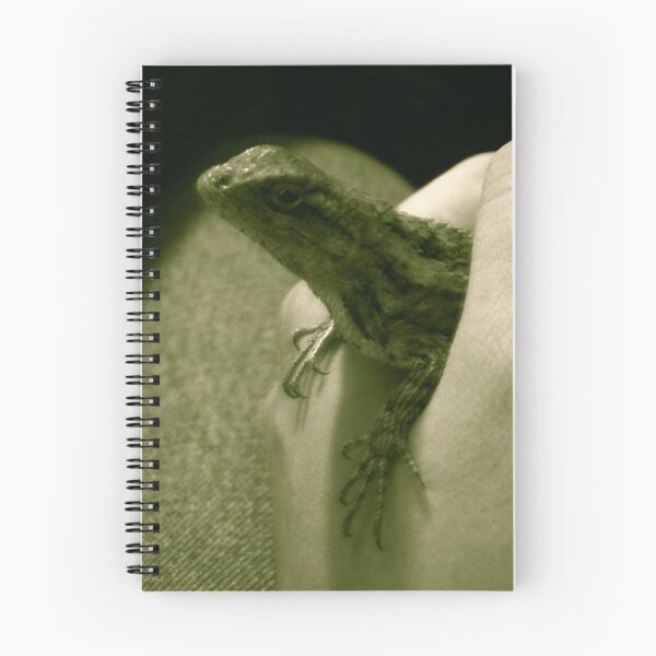 Item preview, Hello From 65 Million B.C. designed and sold by Gatorbox.