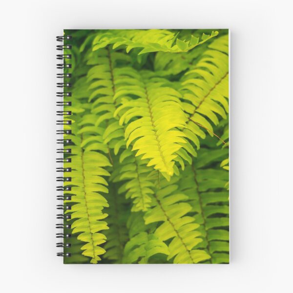 Item preview, Lush ferns. designed and sold by Anne Scantlebury.