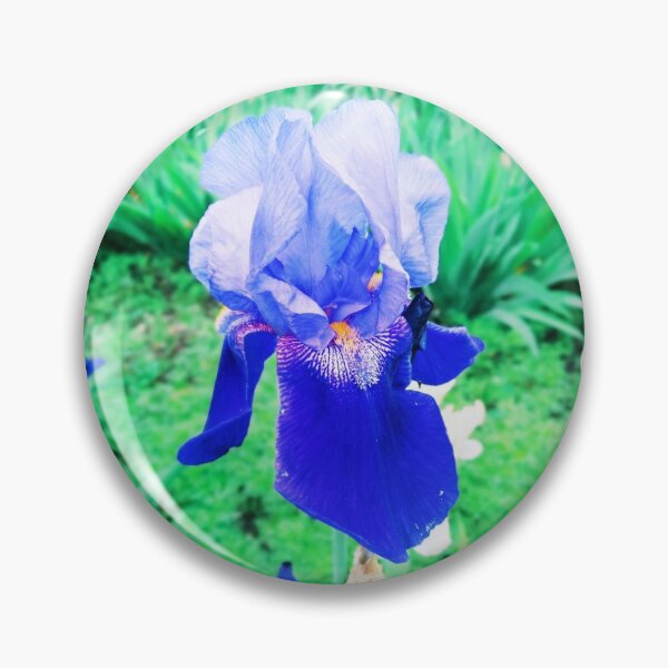 Item preview, Violet iris in blossom, natural perfection  designed and sold by helenkaiy.