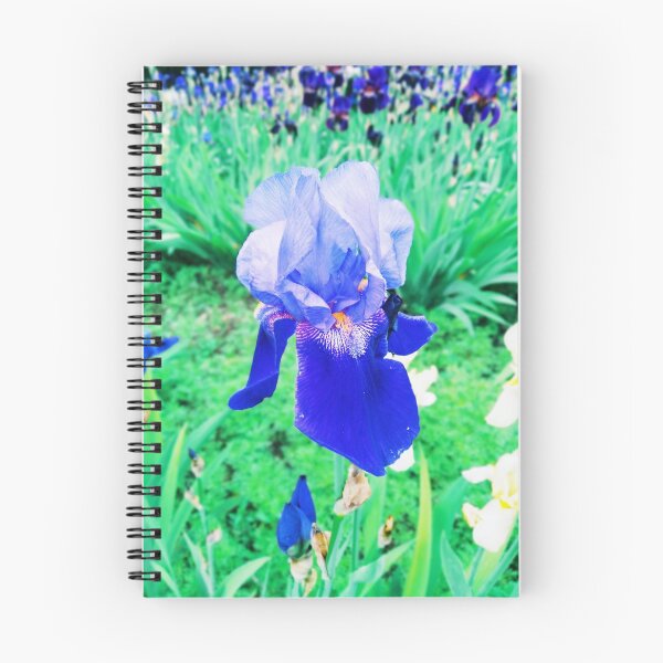 Item preview, Violet iris in blossom, natural perfection  designed and sold by helenkaiy.