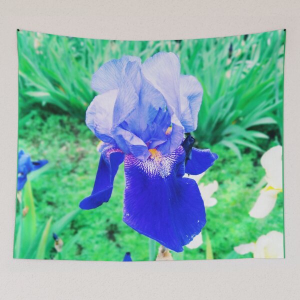 Item preview, Violet iris in blossom, natural perfection  designed and sold by helenkaiy.