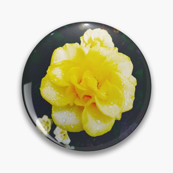 Item preview, Tender yellow rose after the rain covered with drops  designed and sold by helenkaiy.