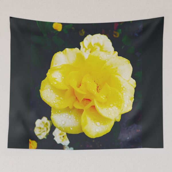 Item preview, Tender yellow rose after the rain covered with drops  designed and sold by helenkaiy.