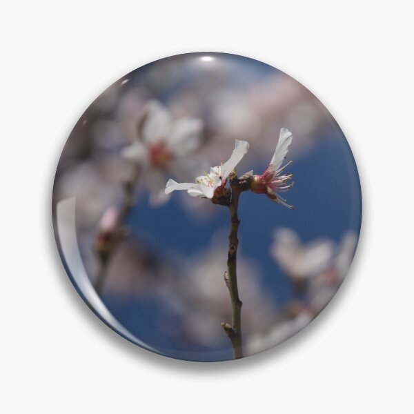 Item preview, Almond Blossom in Jerusalem designed and sold by DanaLauraPhoto.