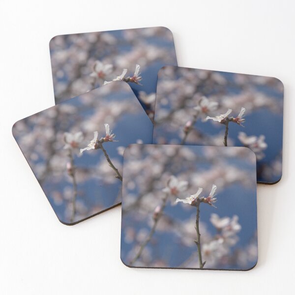 Item preview, Almond Blossom in Jerusalem designed and sold by DanaLauraPhoto.