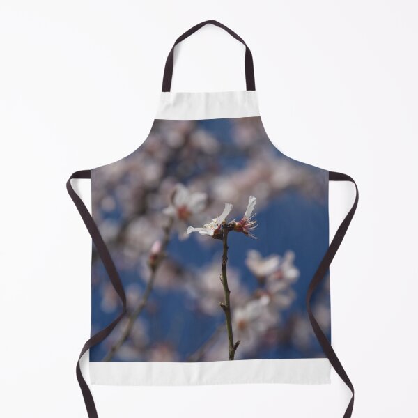 Item preview, Almond Blossom in Jerusalem designed and sold by DanaLauraPhoto.