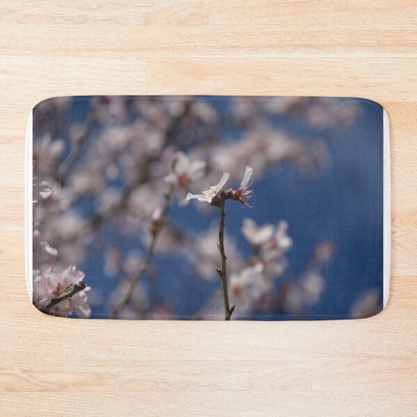 Item preview, Almond Blossom in Jerusalem designed and sold by DanaLauraPhoto.
