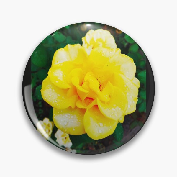 Item preview, Tender yellow rose after the rain covered with drops  designed and sold by helenkaiy.