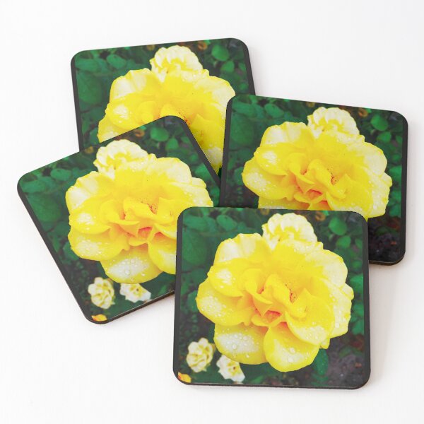 Item preview, Tender yellow rose after the rain covered with drops  designed and sold by helenkaiy.
