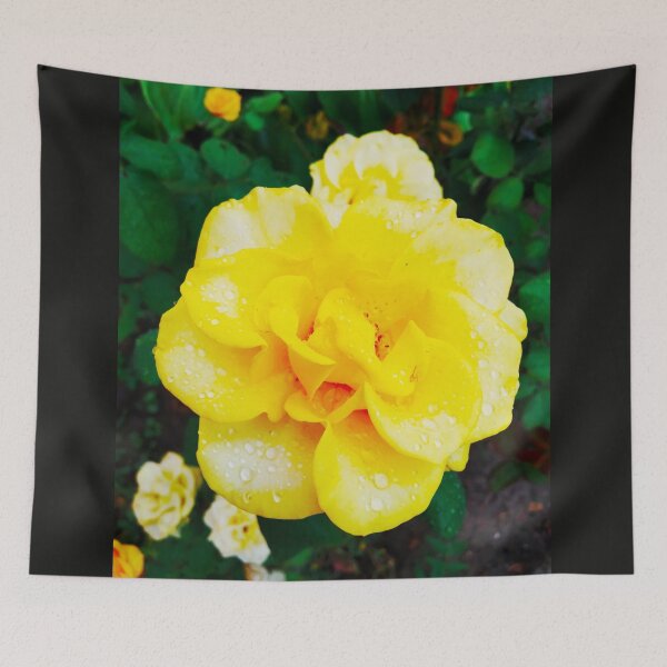Item preview, Tender yellow rose after the rain covered with drops  designed and sold by helenkaiy.