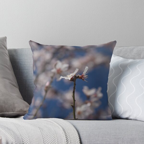 Item preview, Almond Blossom in Jerusalem designed and sold by DanaLauraPhoto.