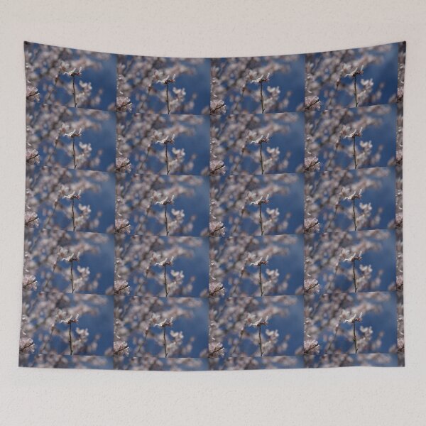 Item preview, Almond Blossom in Jerusalem designed and sold by DanaLauraPhoto.