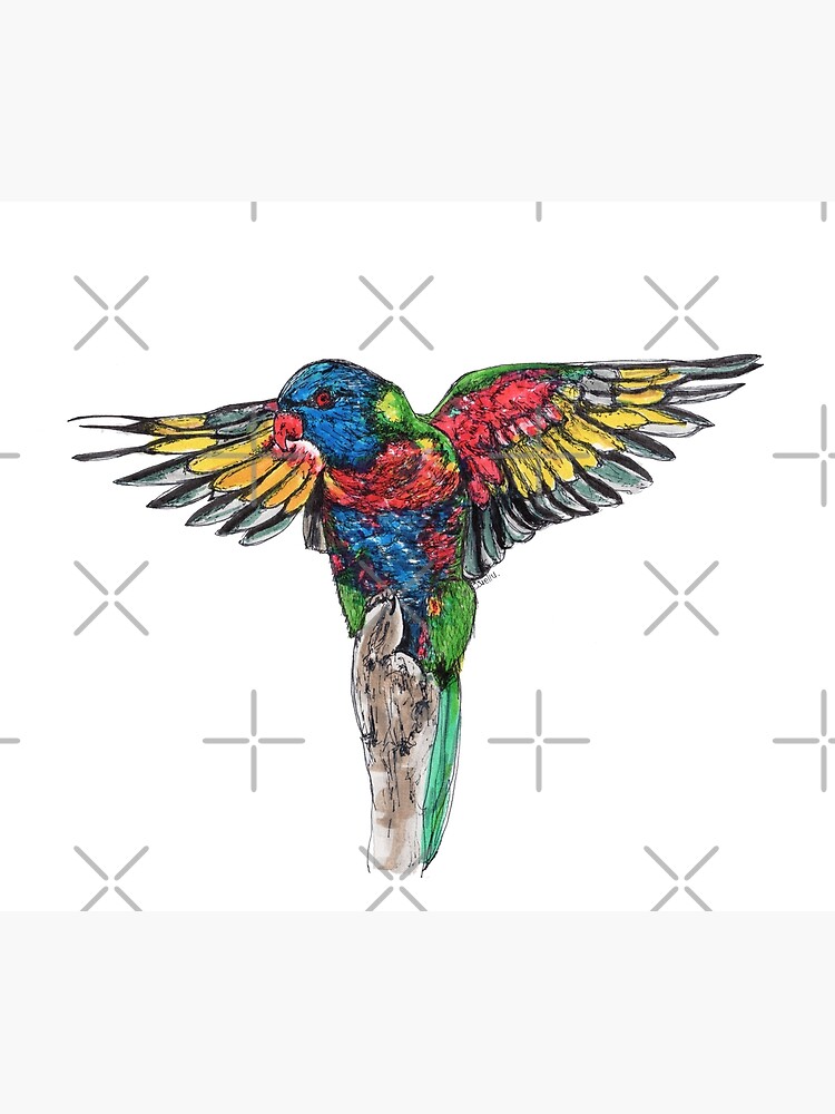 Delilah the Rainbow Lorikeet by Wildcard-Sue