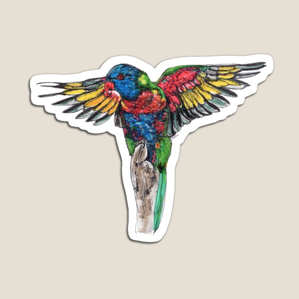Delilah the Rainbow Lorikeet Magnet