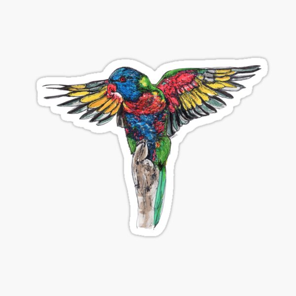Delilah the Rainbow Lorikeet Sticker