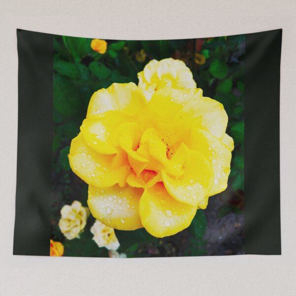 Item preview, Tender yellow rose after the rain covered with drops  designed and sold by helenkaiy.