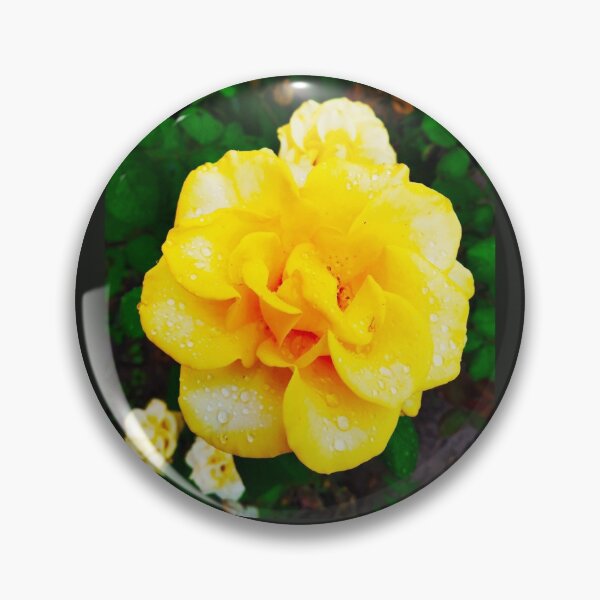 Item preview, Tender yellow rose after the rain covered with drops  designed and sold by helenkaiy.