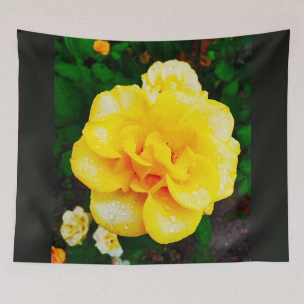 Item preview, Tender yellow rose after the rain covered with drops  designed and sold by helenkaiy.