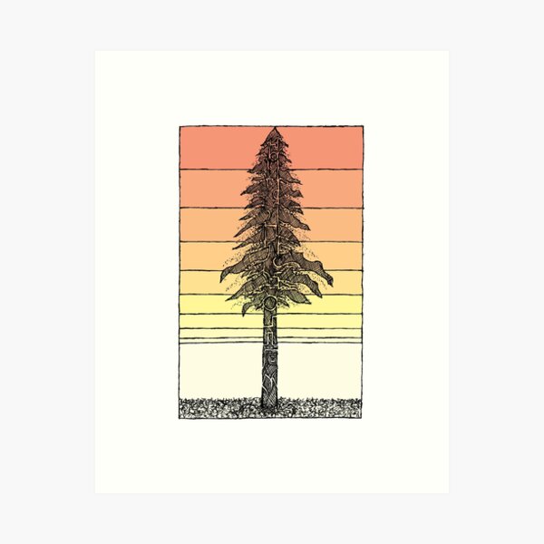 Coastal Redwood Sunset Sketch Art Print