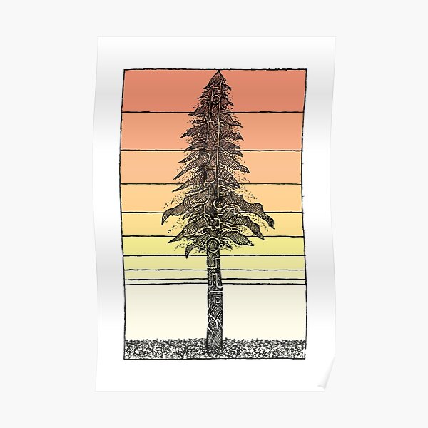 Coastal Redwood Sunset Sketch Poster