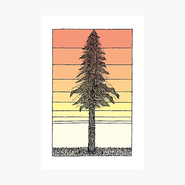 Coastal Redwood Sunset Sketch Photographic Print
