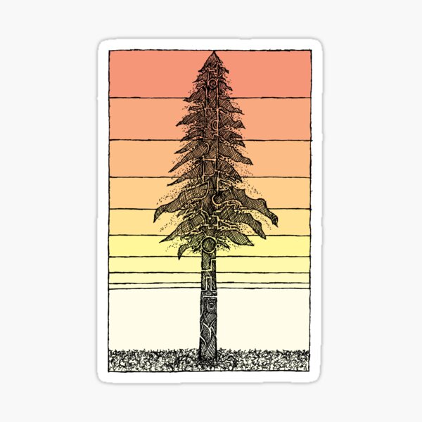 Coastal Redwood Sunset Sketch Sticker
