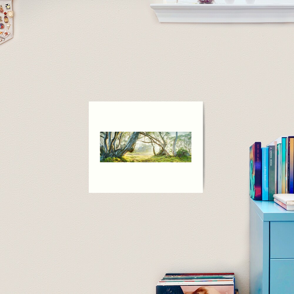 Foggy Wallace Hut, Falls Creek, Victoria, Australia Art Print