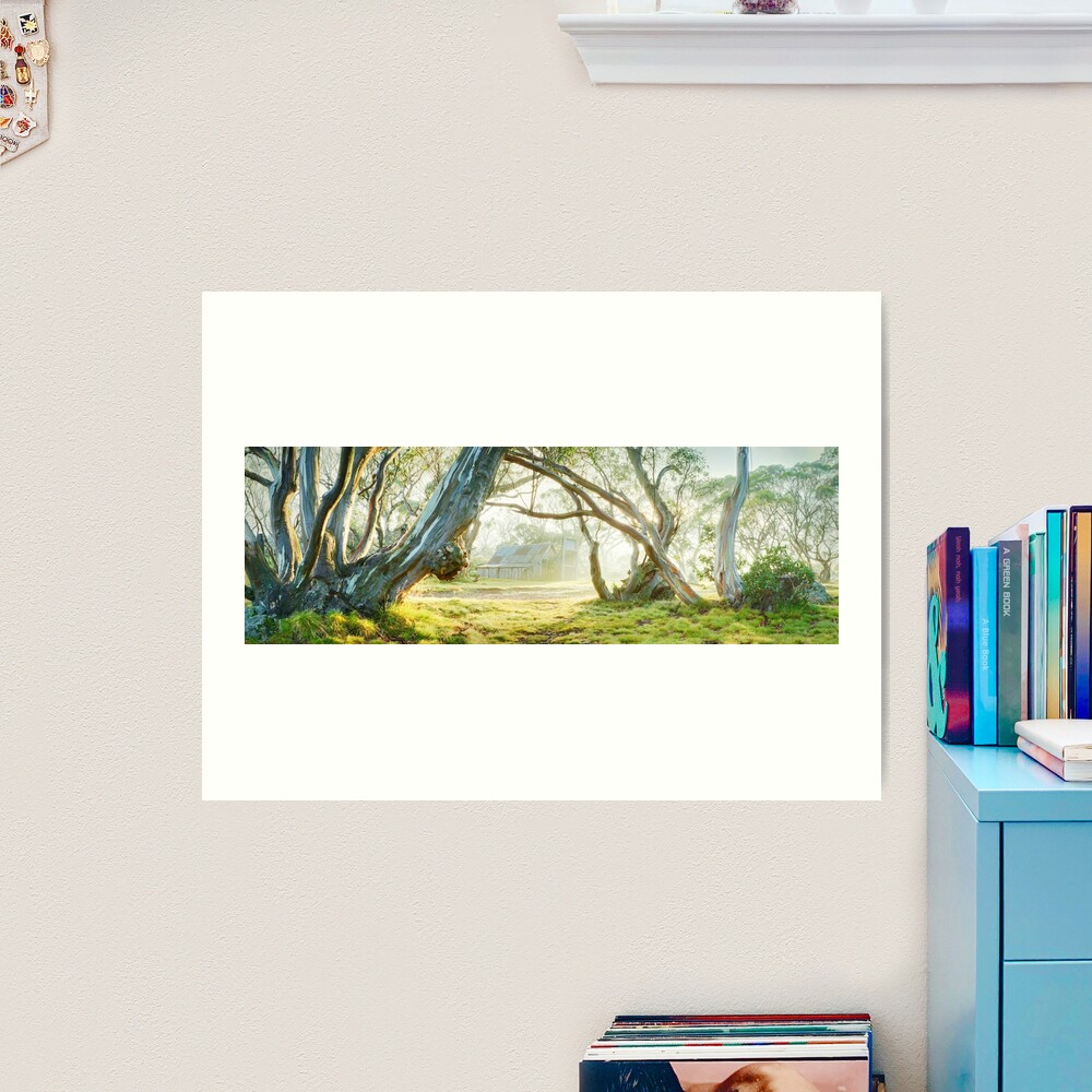 Foggy Wallace Hut, Falls Creek, Victoria, Australia Art Print
