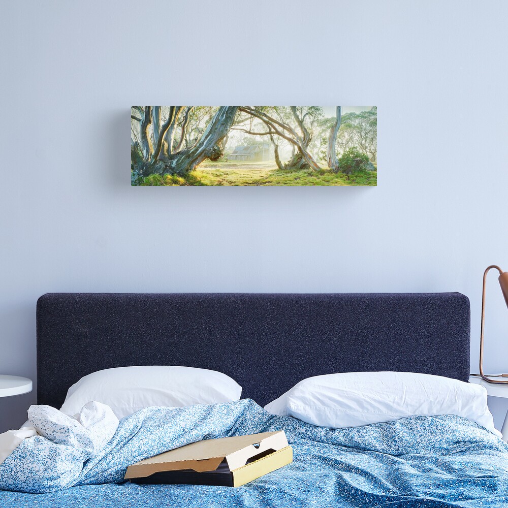 Foggy Wallace Hut, Falls Creek, Victoria, Australia Canvas Print