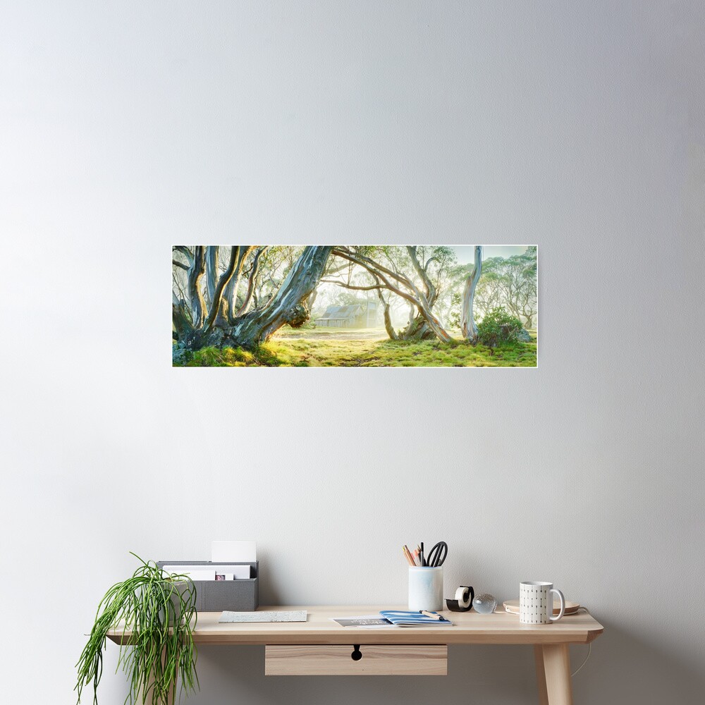 Foggy Wallace Hut, Falls Creek, Victoria, Australia Poster
