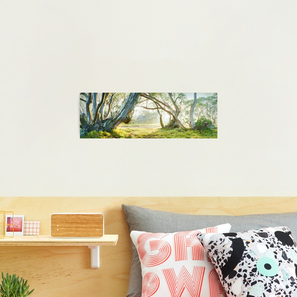 Foggy Wallace Hut, Falls Creek, Victoria, Australia Photographic Print