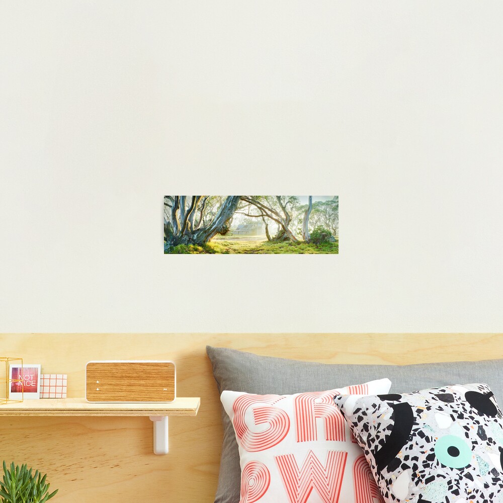 Foggy Wallace Hut, Falls Creek, Victoria, Australia Photographic Print